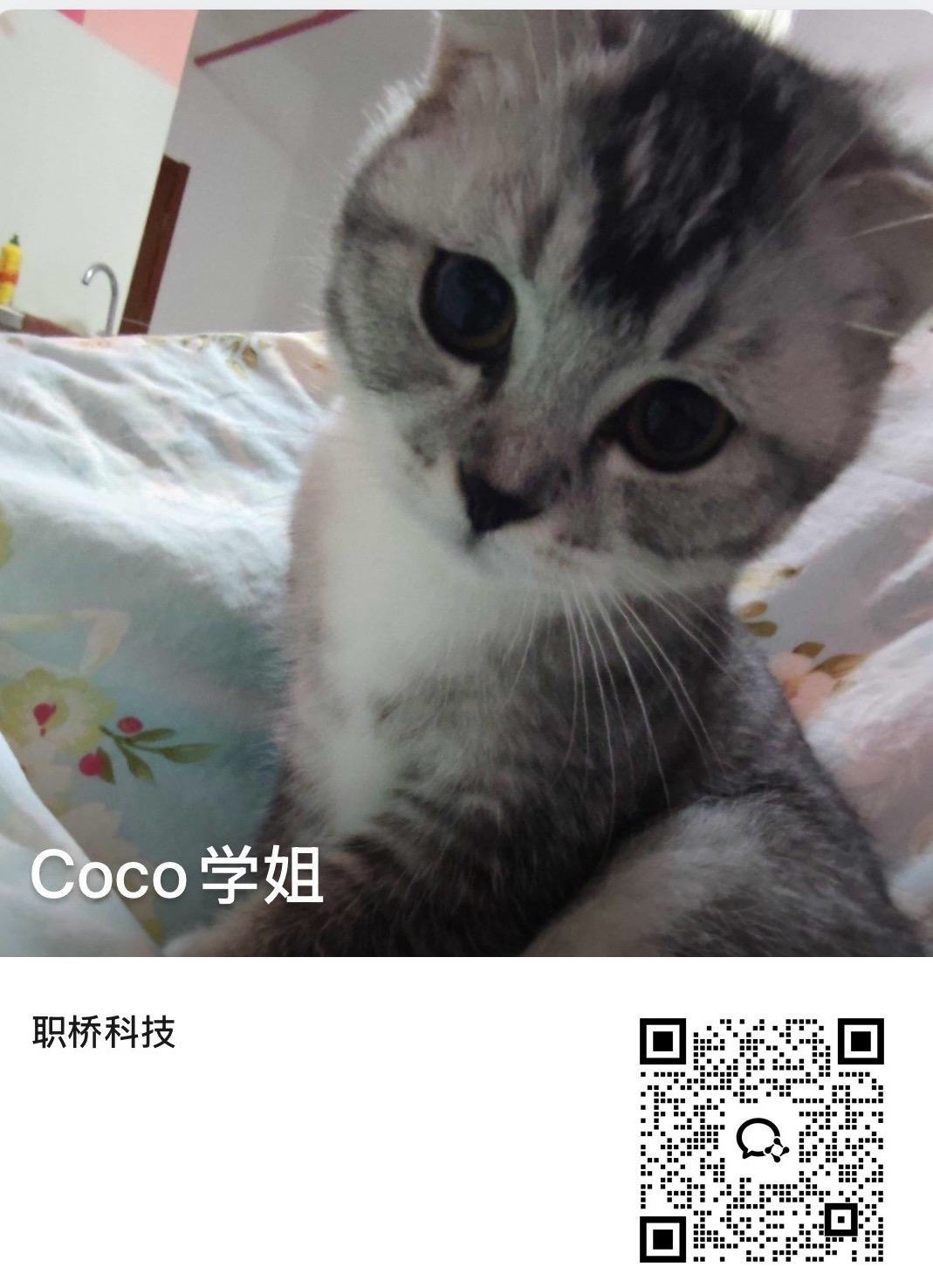 Coco学姐企业微信名片